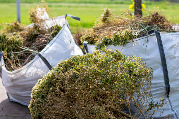 Best Junk Hauling Services  in Crompond, NY